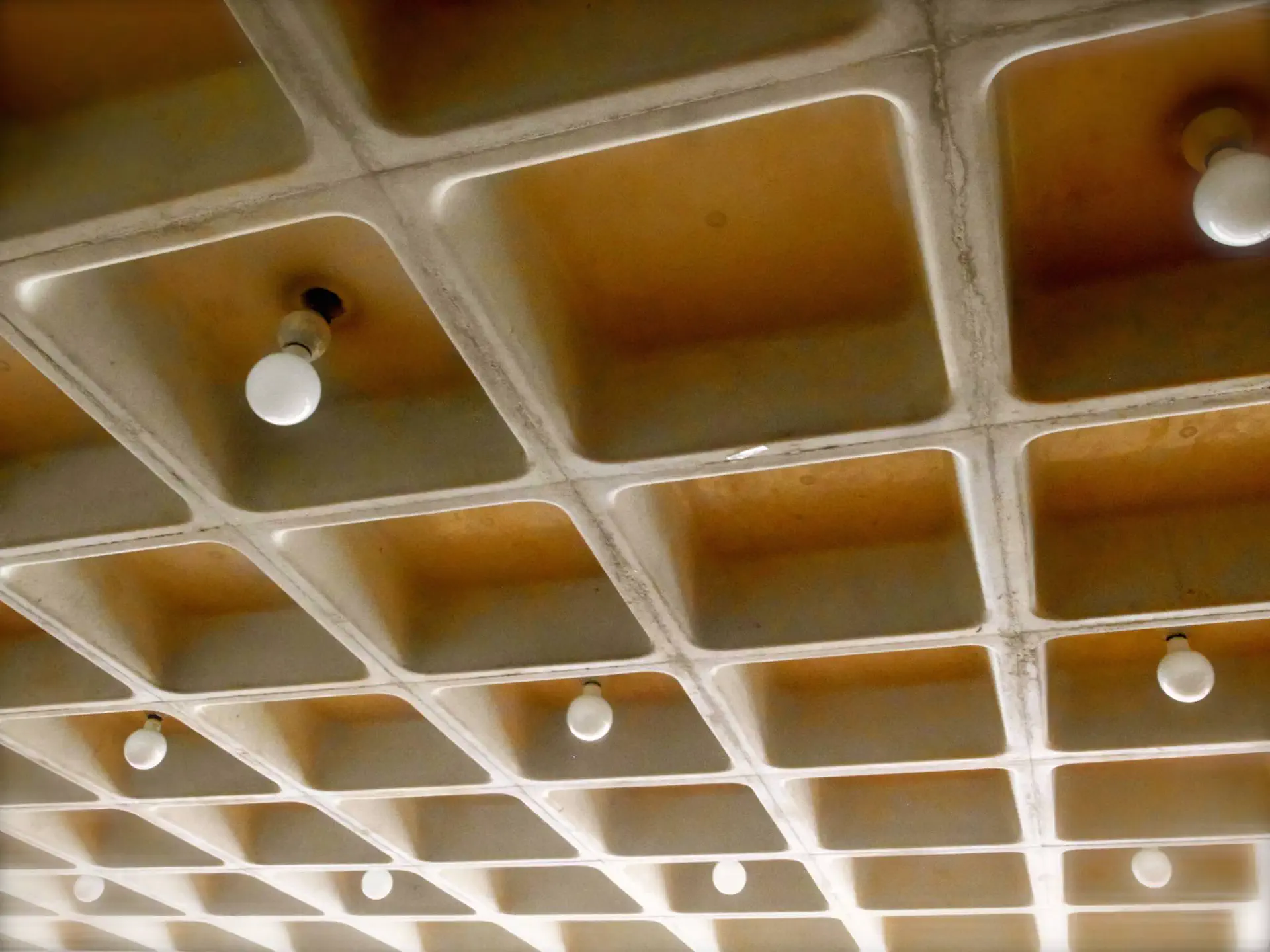 Background image of Club Longchamp